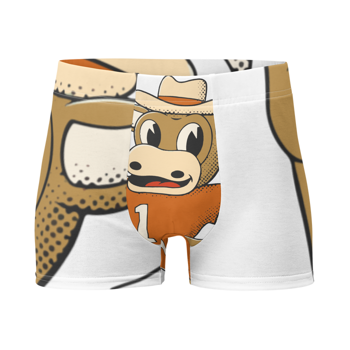 Austin Texas Longhorns vintage boxer briefs - white front