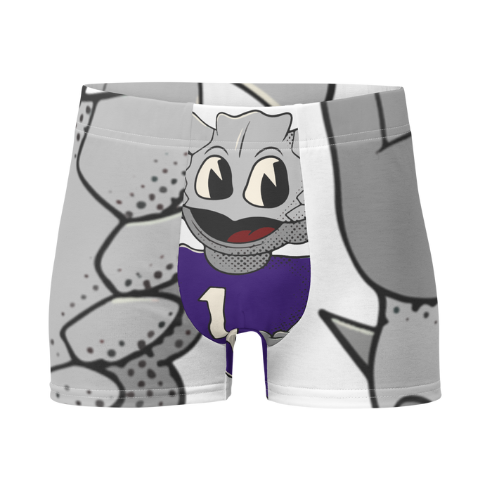 Fort Worth TCU Horned Frogs vintage boxer briefs - white front