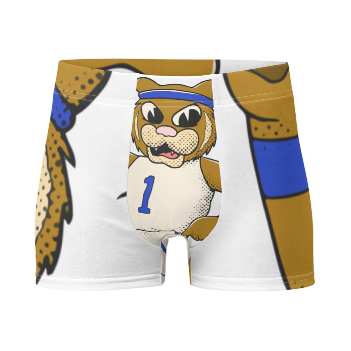 Lexington Kentucky Wildcats vintage boxer briefs - white front