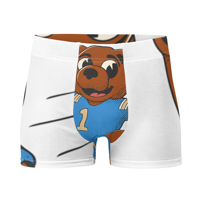 Los Angeles UCLA Bruins vintage boxer briefs - white front