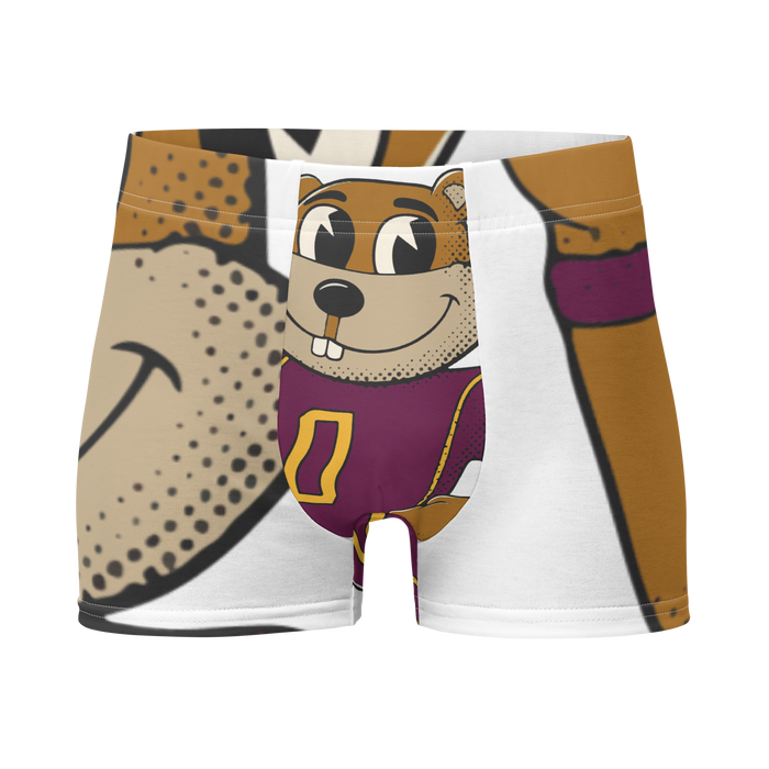 Minneapolis Minnesota Golden Gophers vintage boxer briefs - white front