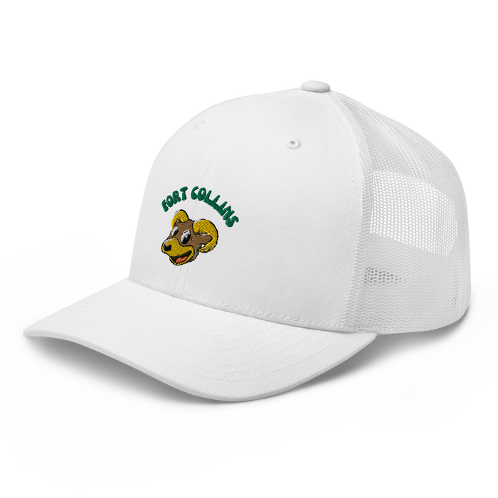 Fort Collins Snapback Hat
