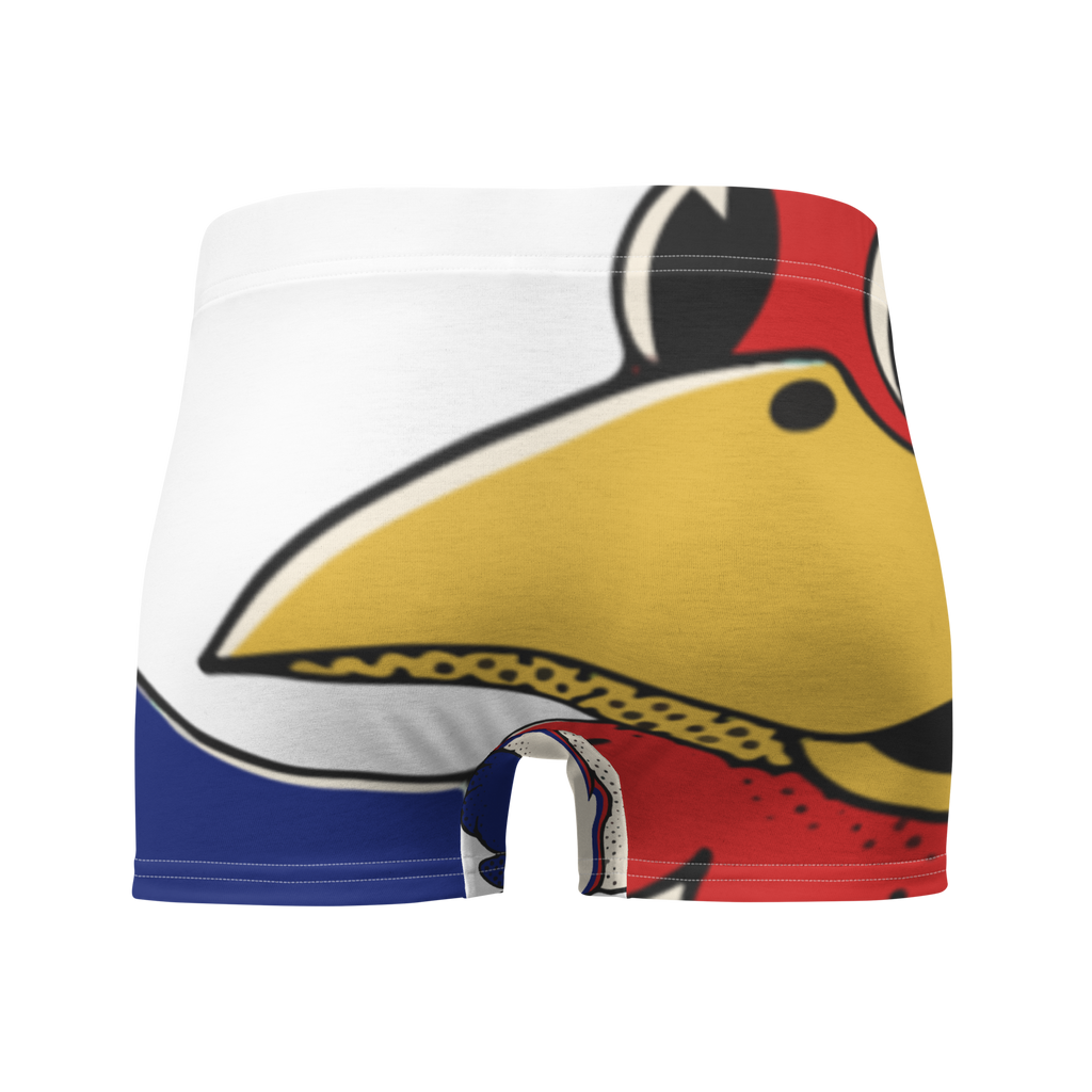 Lawrence Kansas Jayhawks vintage boxer briefs - white back