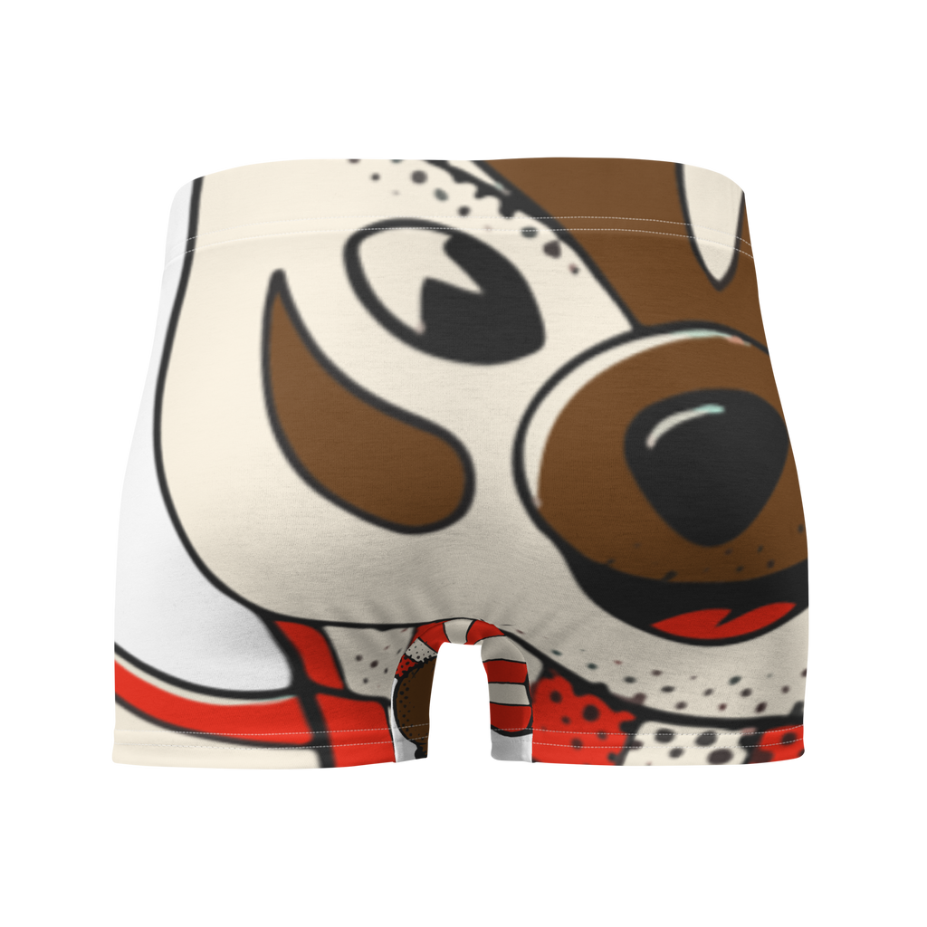 Madison Wisconsin Badgers vintage boxer briefs - white back