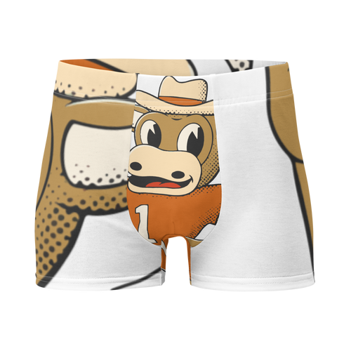 Austin Texas Longhorns vintage boxer briefs - white front