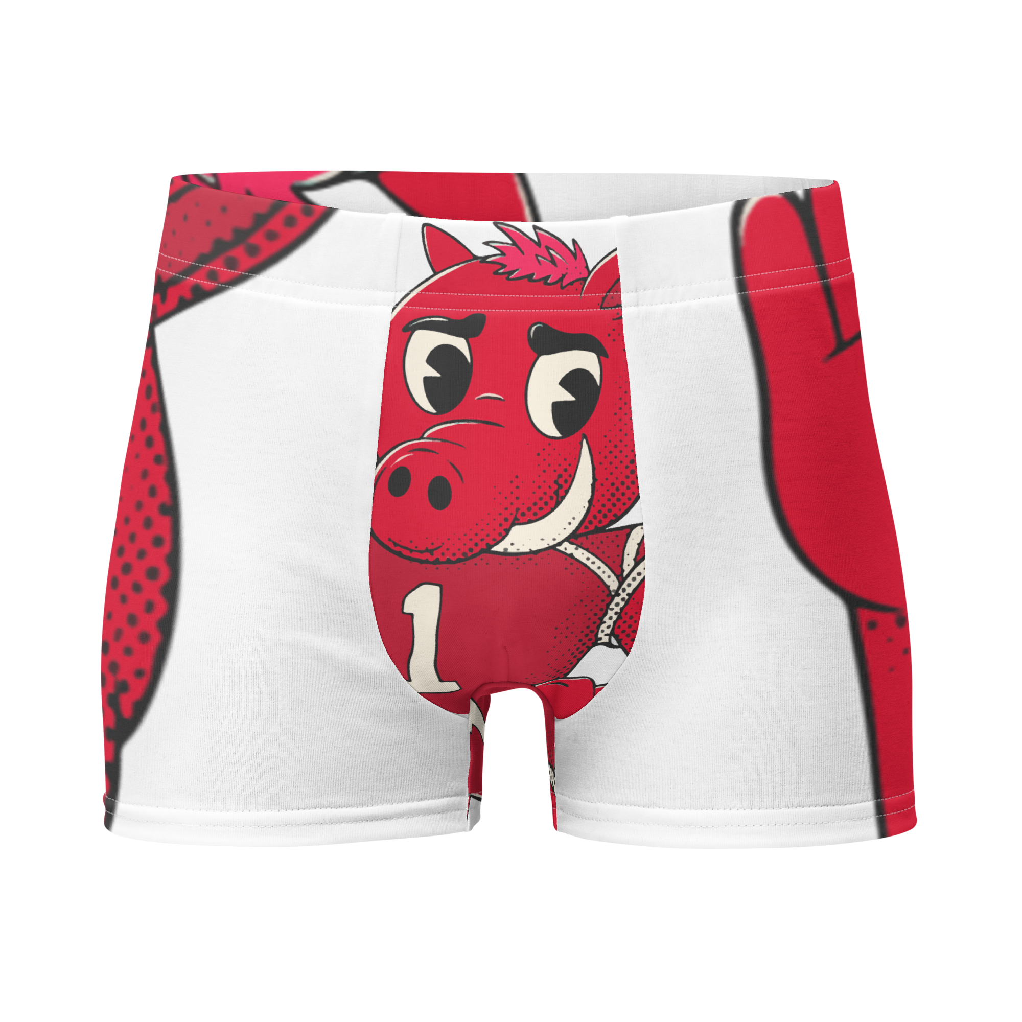 Fayetteville Arkansas Razorbacks vintage boxer briefs - white front
