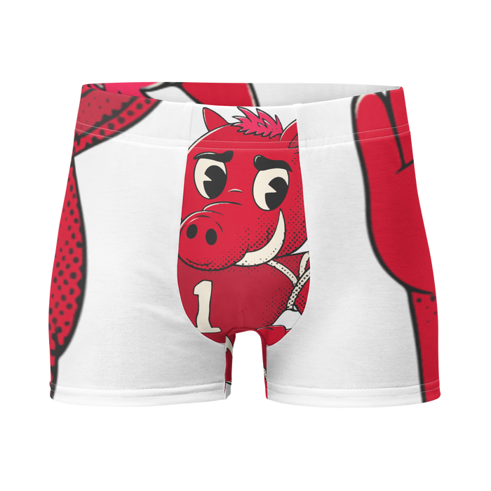 Fayetteville Arkansas Razorbacks vintage boxer briefs - white front