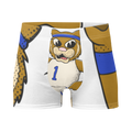 Lexington Kentucky Wildcats vintage boxer briefs - white front