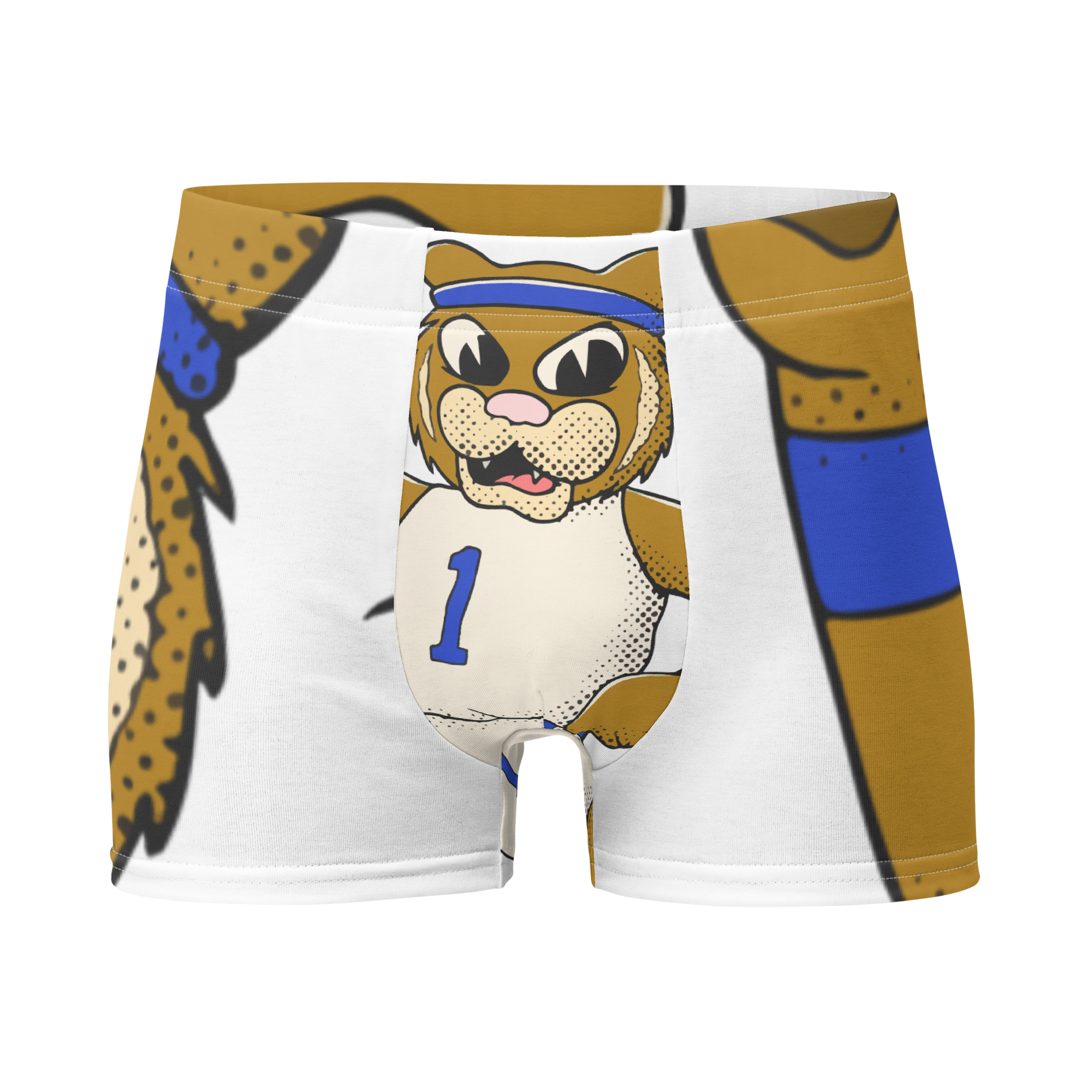 Lexington Kentucky Wildcats vintage boxer briefs - white front