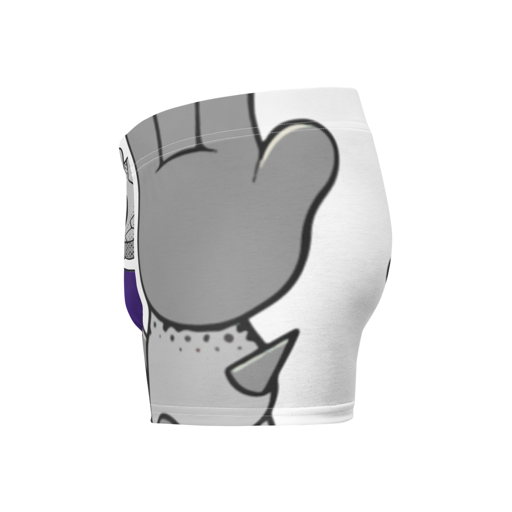 Fort Worth TCU Horned Frogs vintage boxer briefs - white
