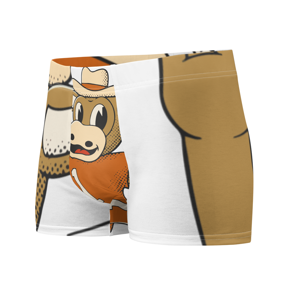 Austin Texas Longhorns vintage boxer briefs - white front