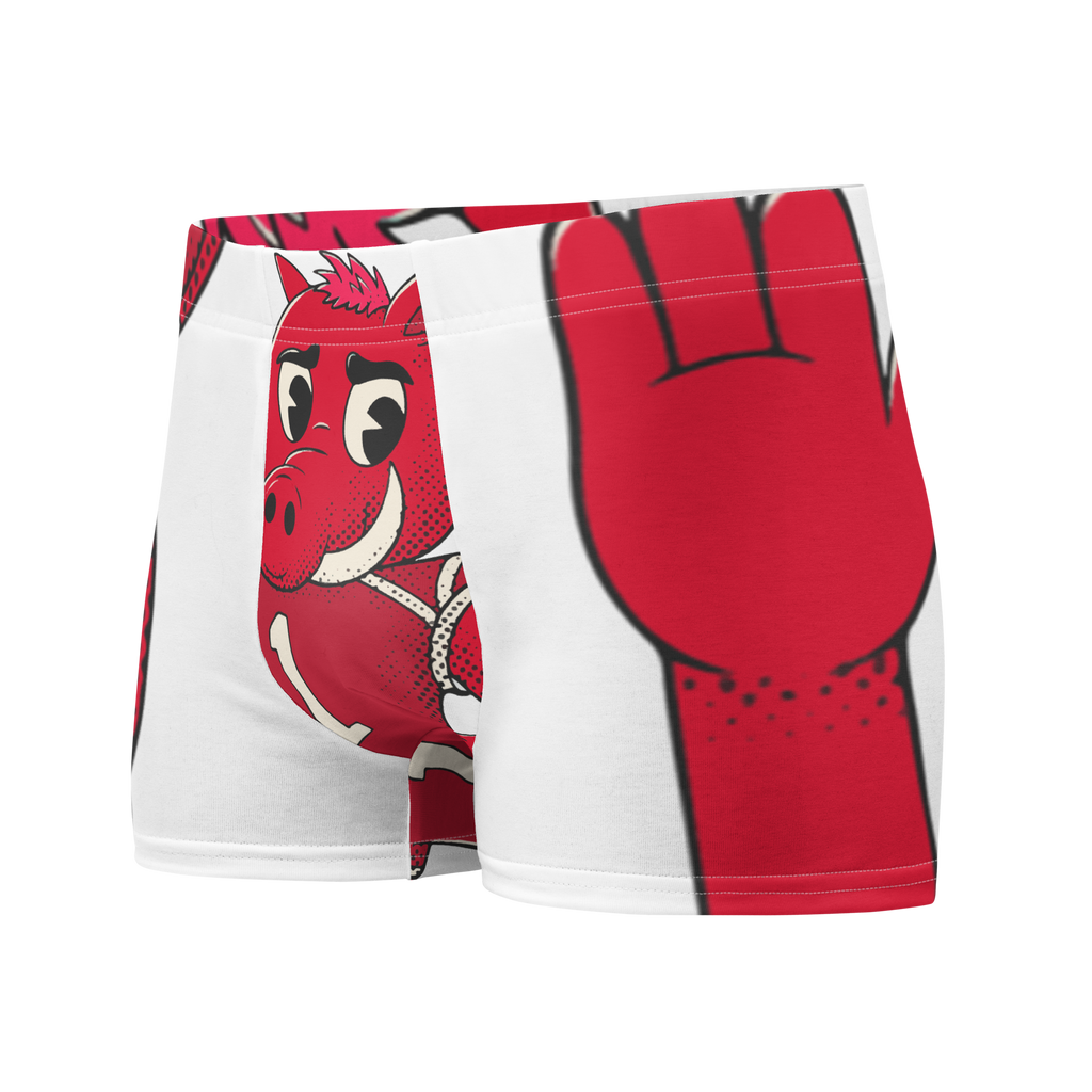 Fayetteville Arkansas Razorbacks vintage boxer briefs - white front