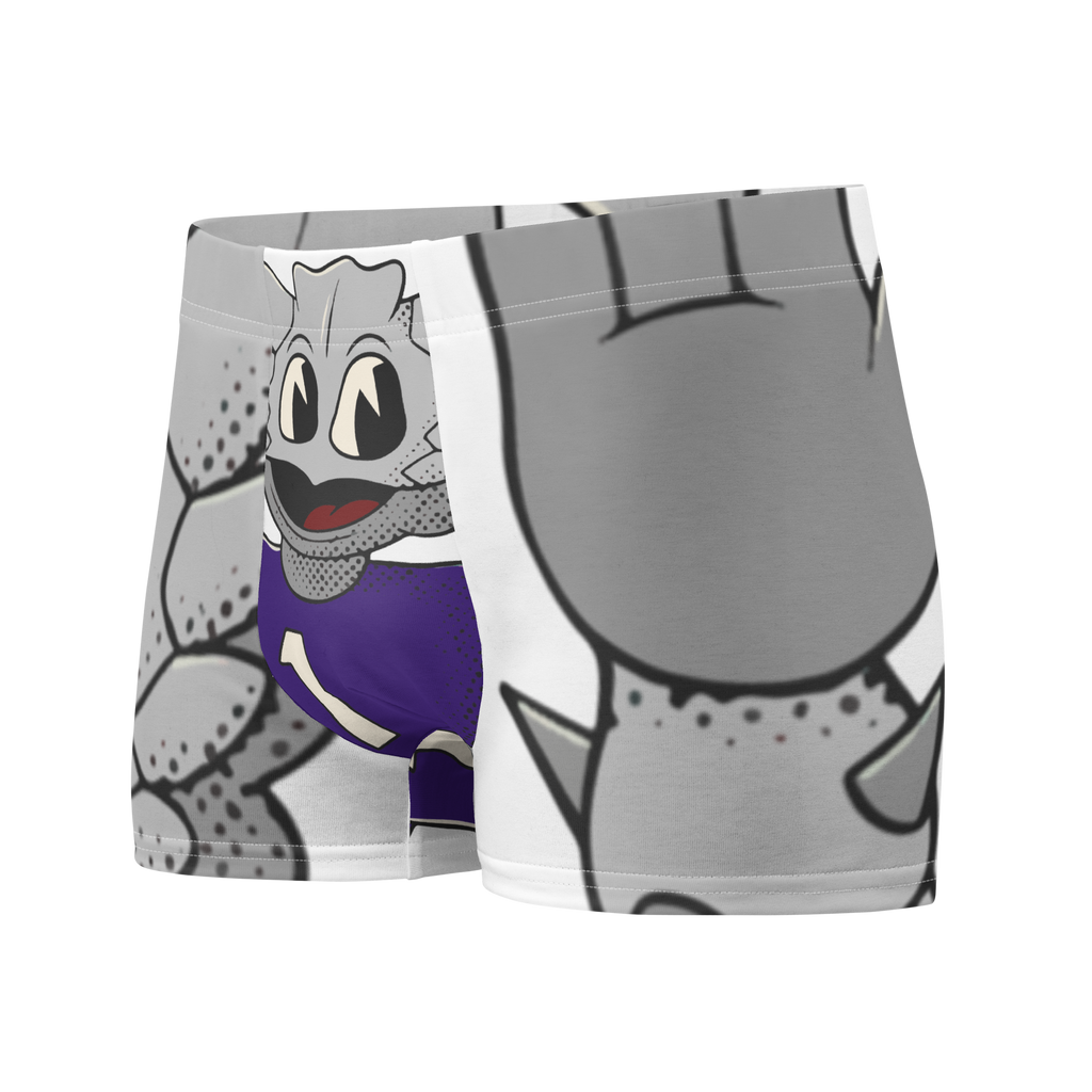 Fort Worth TCU Horned Frogs vintage boxer briefs - white front