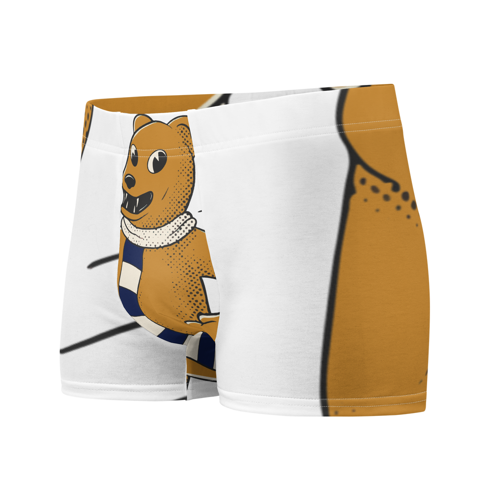 Happy Valley Penn State Nittany Lions vintage boxer briefs - white front