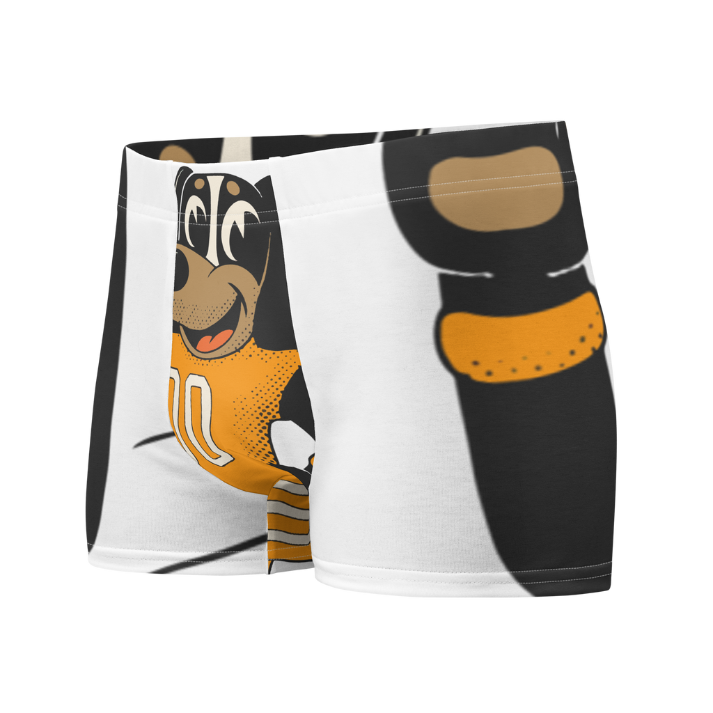Knoxville Tennessee Volunteers vintage boxer briefs - white front