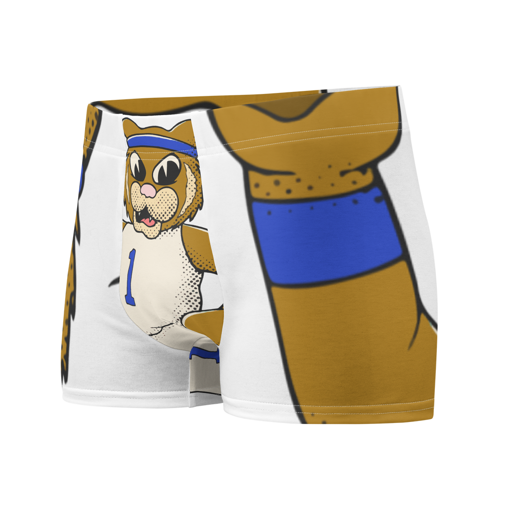 Lexington Kentucky Wildcats vintage boxer briefs - white front