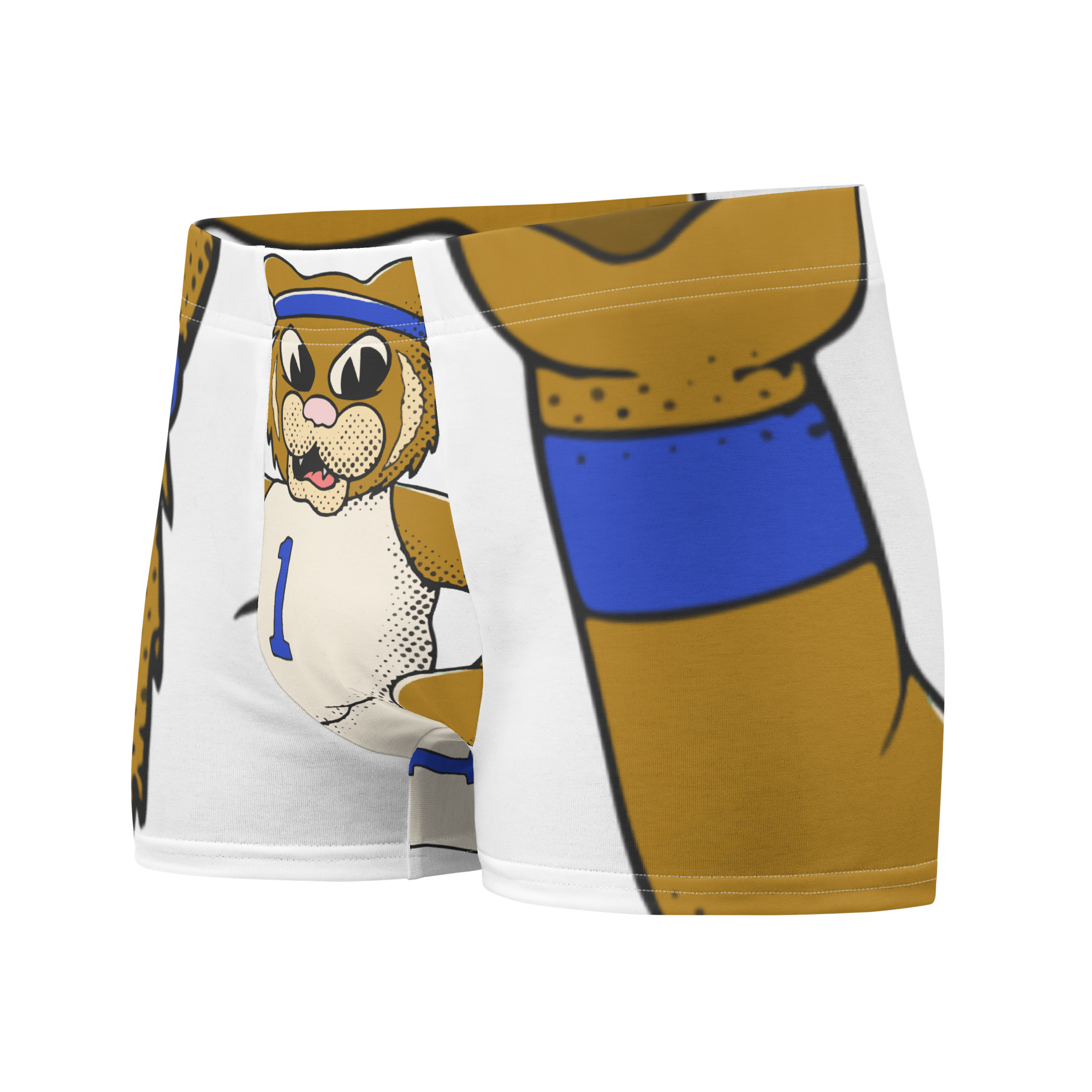 Lexington Kentucky Wildcats vintage boxer briefs - white front