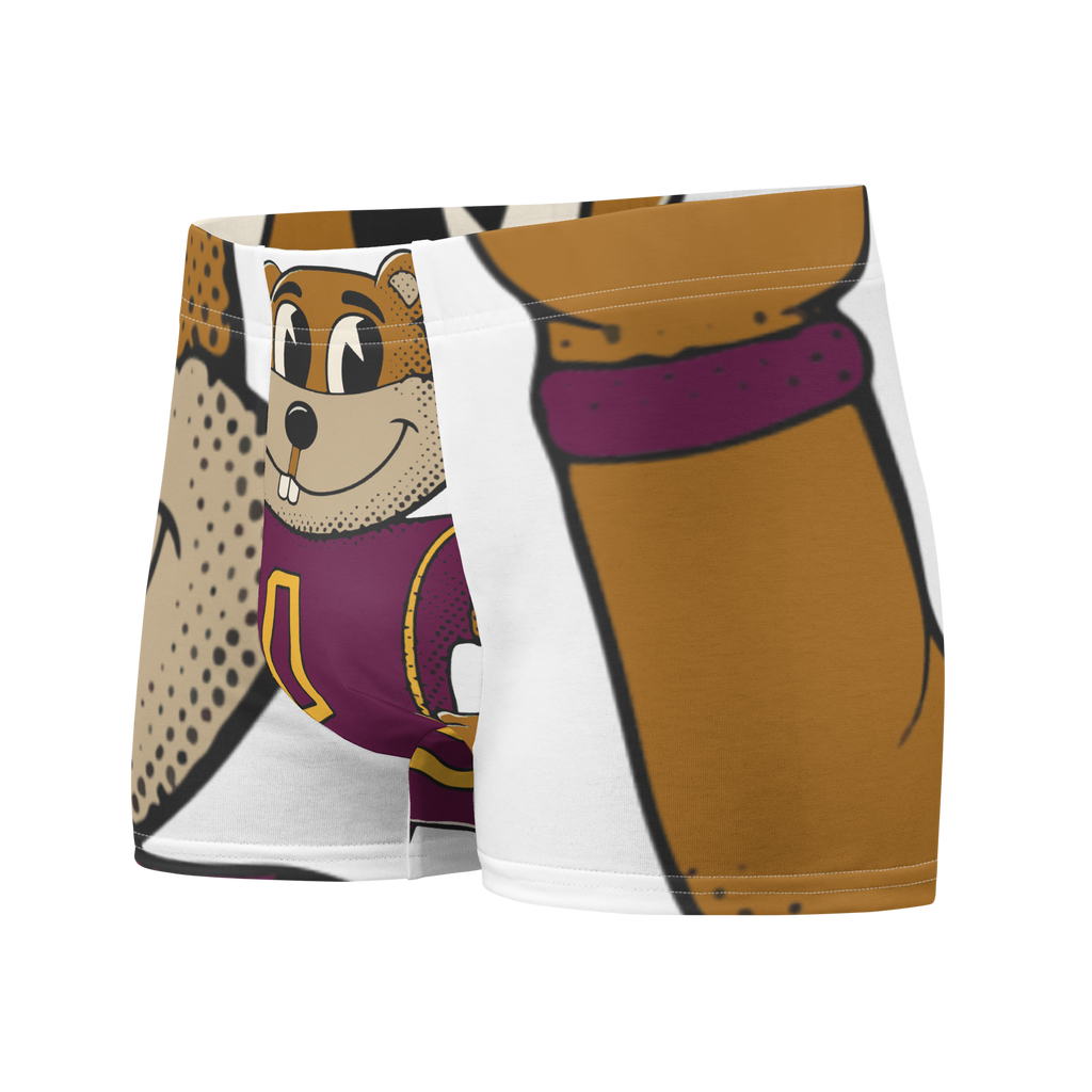 Minneapolis Minnesota Golden Gophers vintage boxer briefs - white front