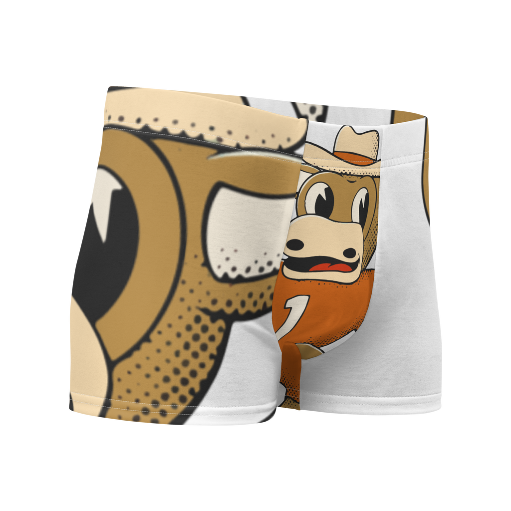 Austin Texas Longhorns vintage boxer briefs - white front