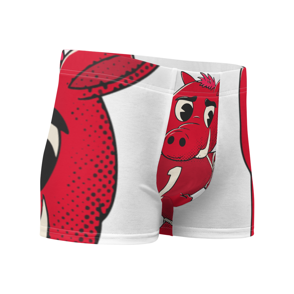 Fayetteville Arkansas Razorbacks vintage boxer briefs - white front