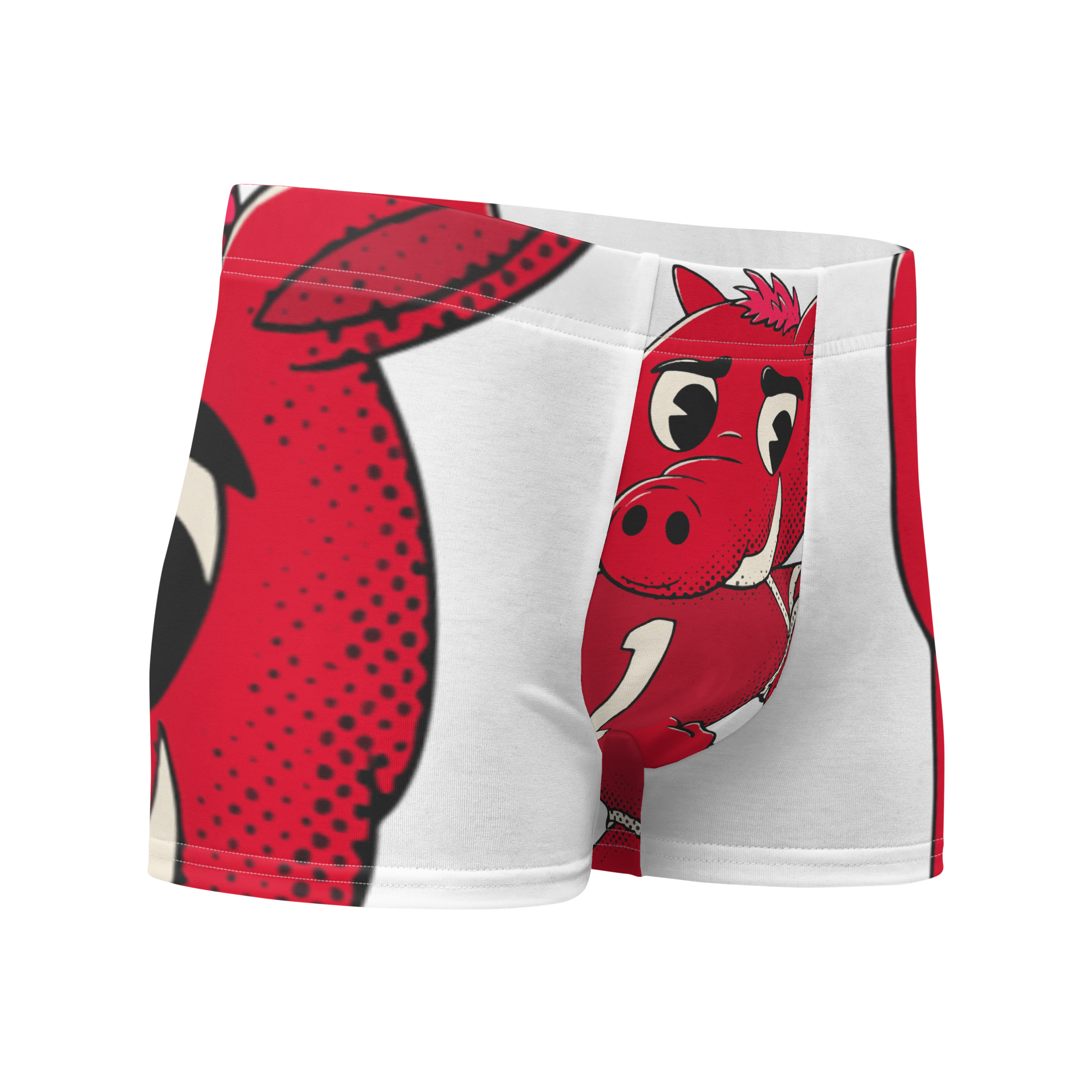 Fayetteville Arkansas Razorbacks vintage boxer briefs - white front