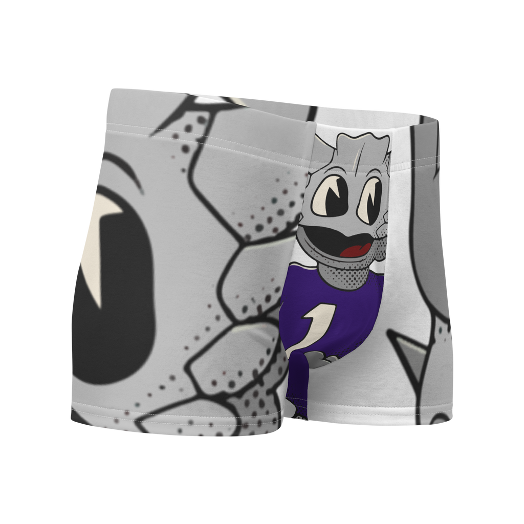 Fort Worth TCU Horned Frogs vintage boxer briefs - white front