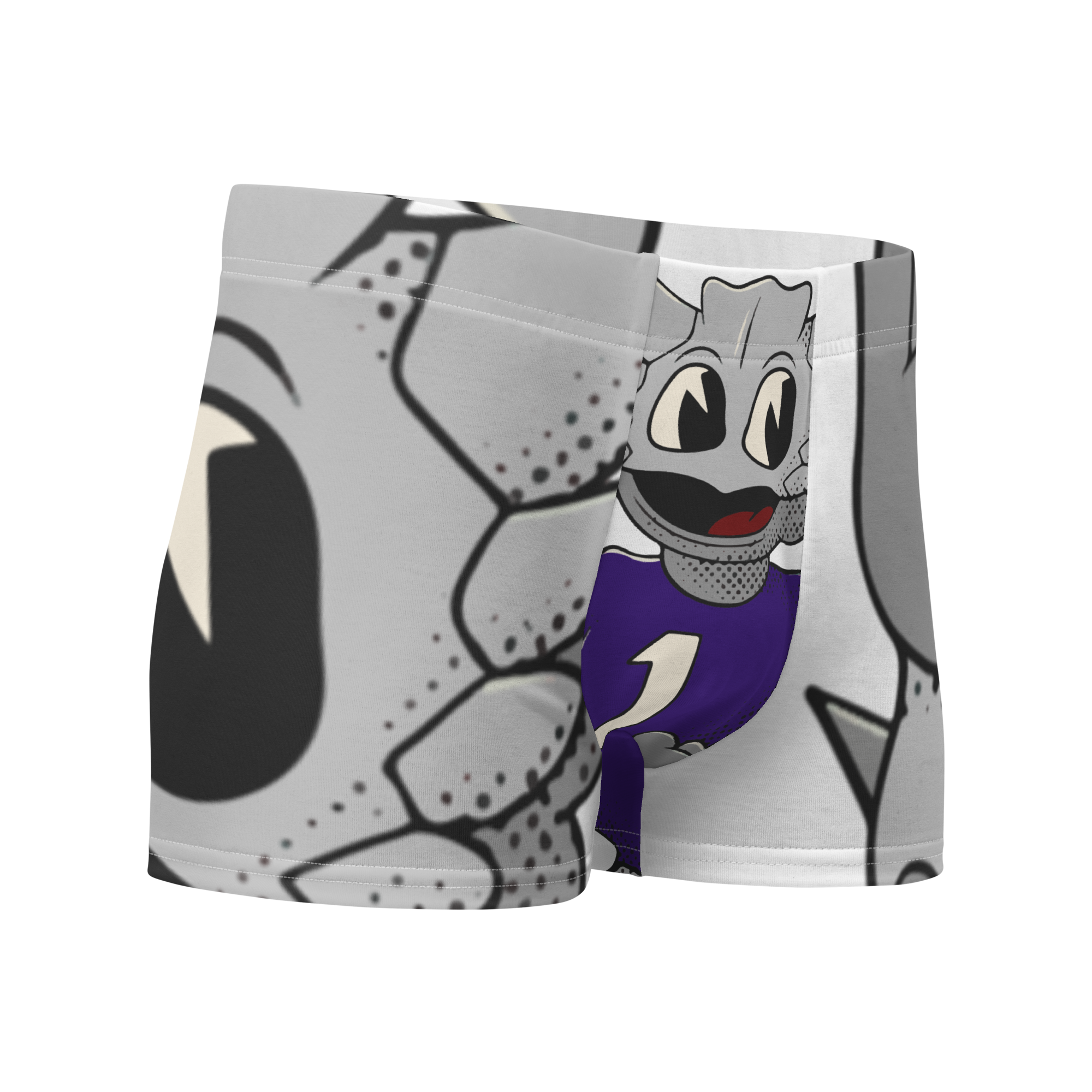 Fort Worth TCU Horned Frogs vintage boxer briefs - white front