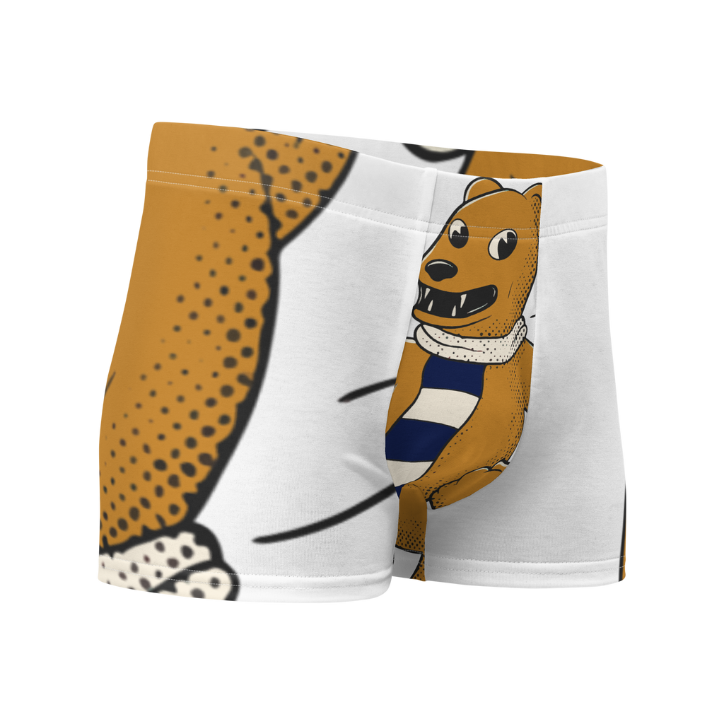 Happy Valley Penn State Nittany Lions vintage boxer briefs - white front