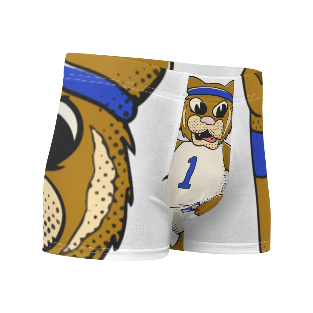 Lexington Kentucky Wildcats vintage boxer briefs - white front