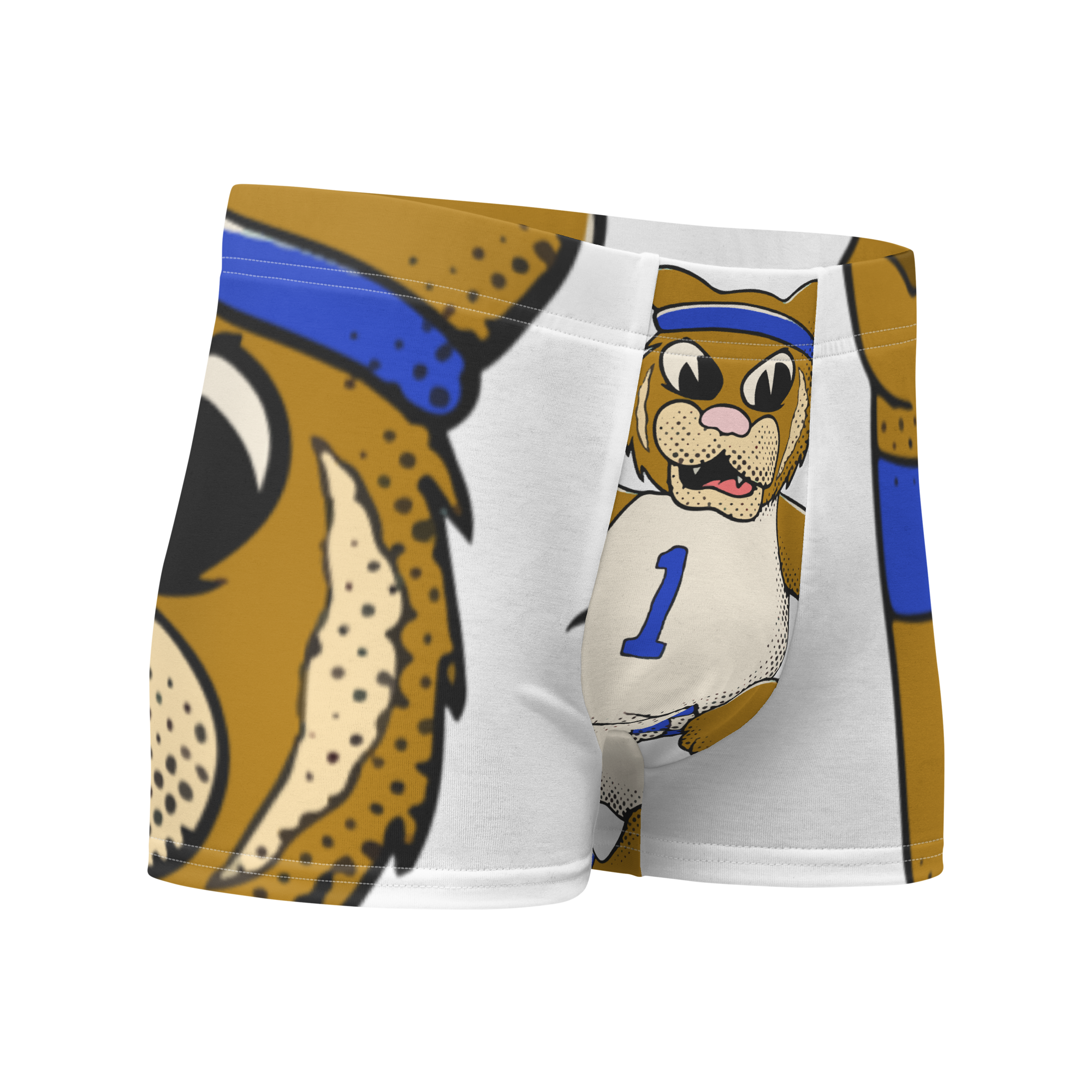 Lexington Kentucky Wildcats vintage boxer briefs - white front