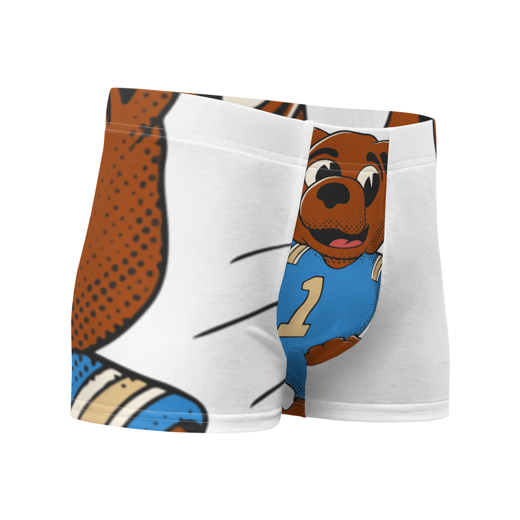 Los Angeles UCLA Bruins vintage boxer briefs - white front