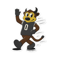 Boulder Colorado Buffaloes vintage stickers