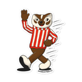 Madison Wisconsin Badgers vintage stickers