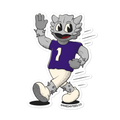 Fort Worth TCU Horned Frogs vintage stickers