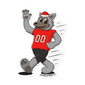 Raleigh NC State Wolfpack vintage stickers