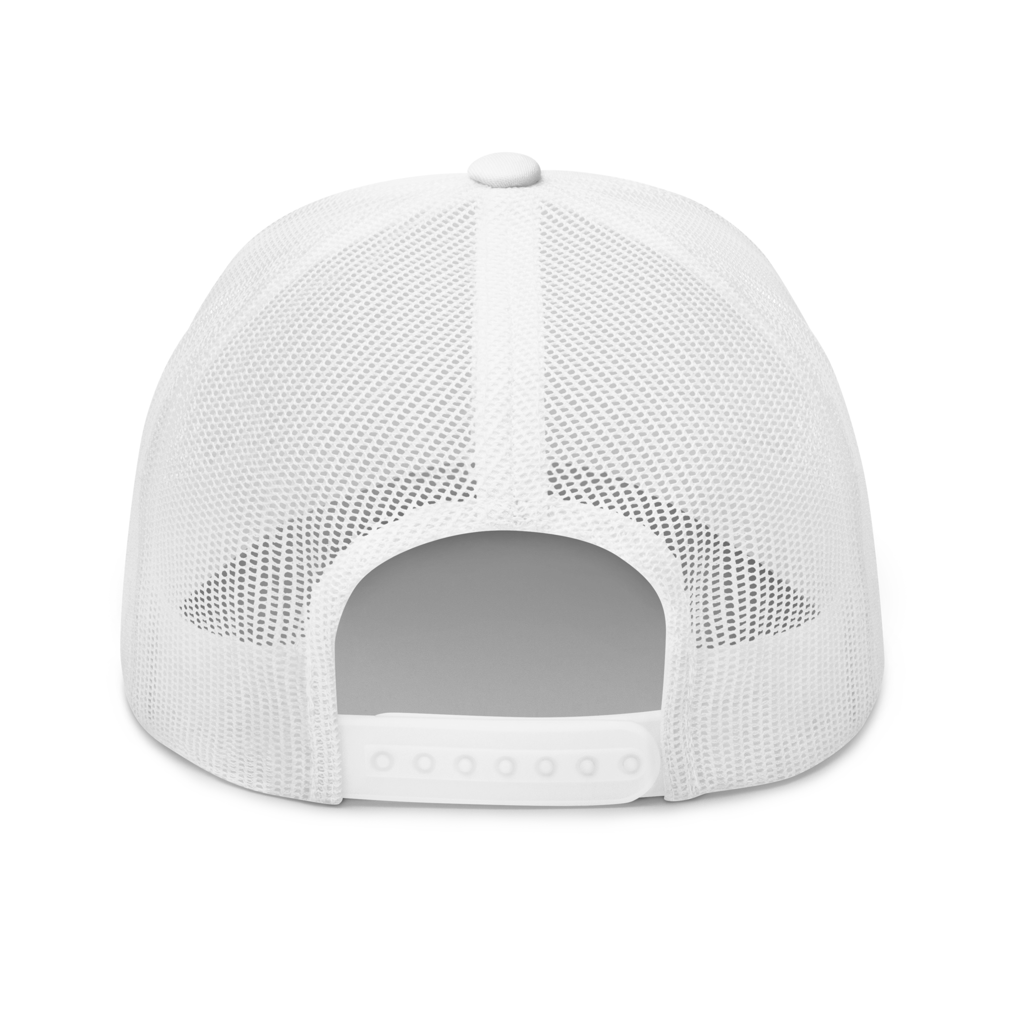 Ann Arbor Michigan Wolverines vintage snapback hat - white back