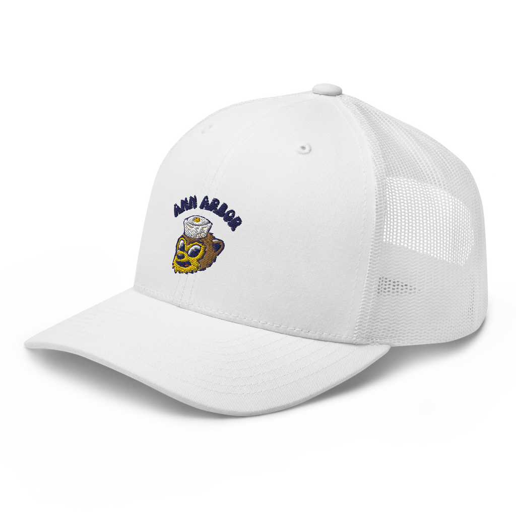 Ann Arbor Michigan Wolverines vintage snapback hat - white front