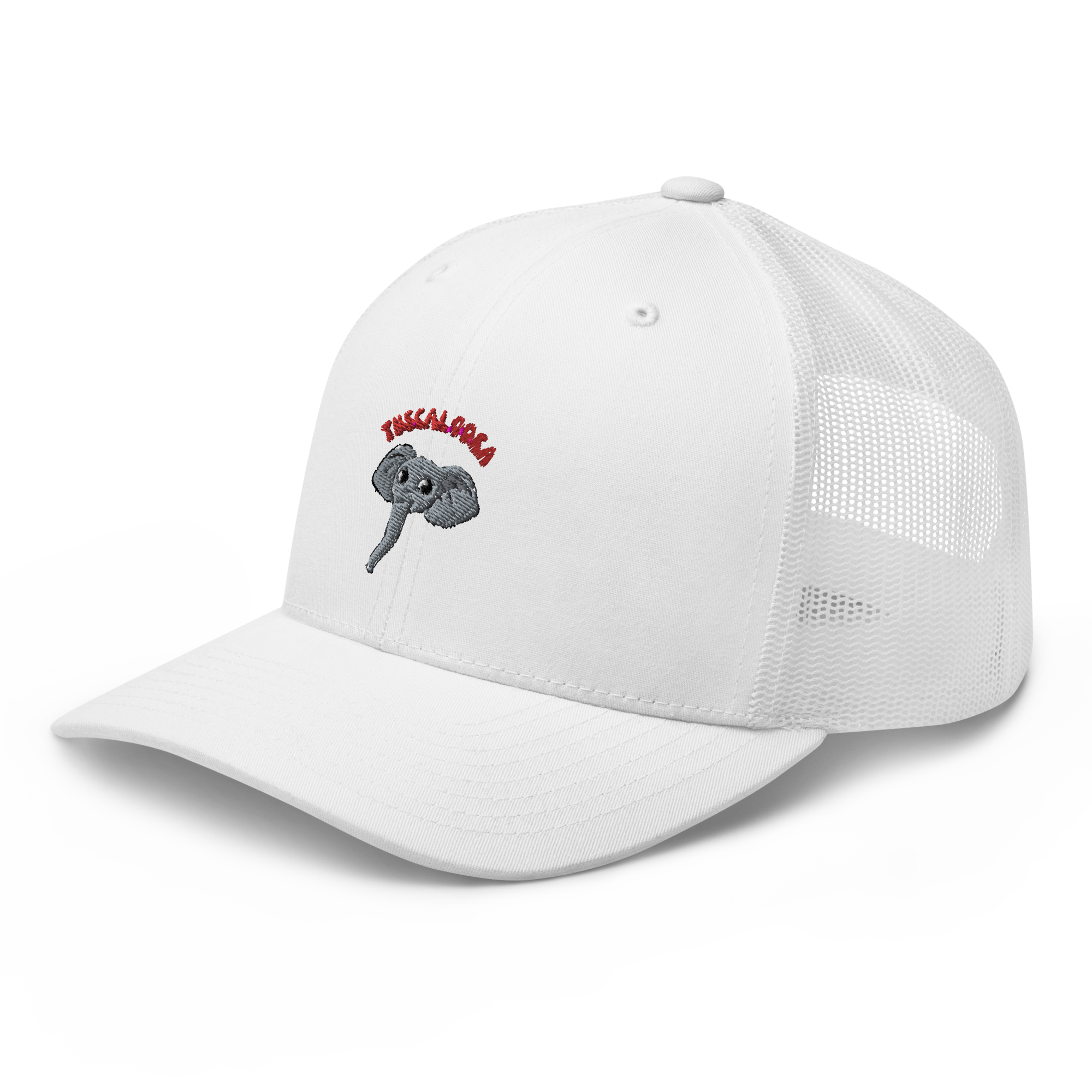 Tuscaloosa Alabama Crimson Tide vintage snapback hat - white front