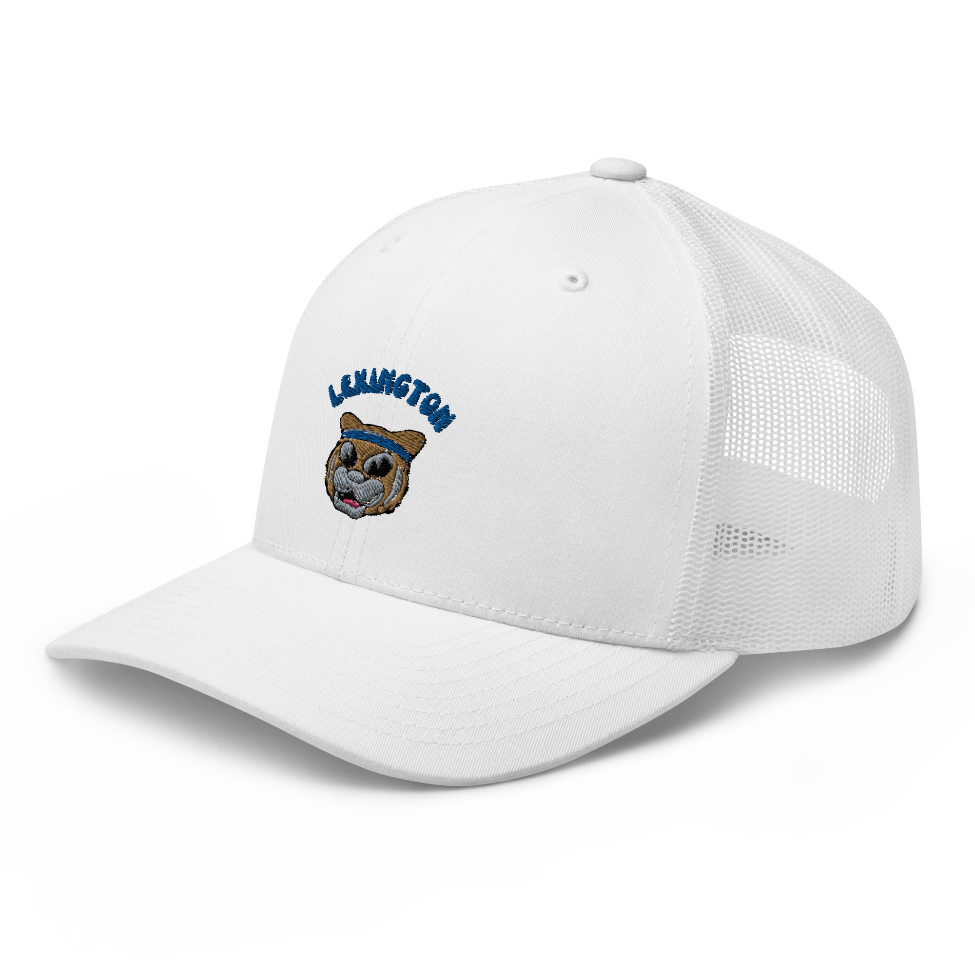 Lexington Kentucky Wildcats vintage snapback hat - white front