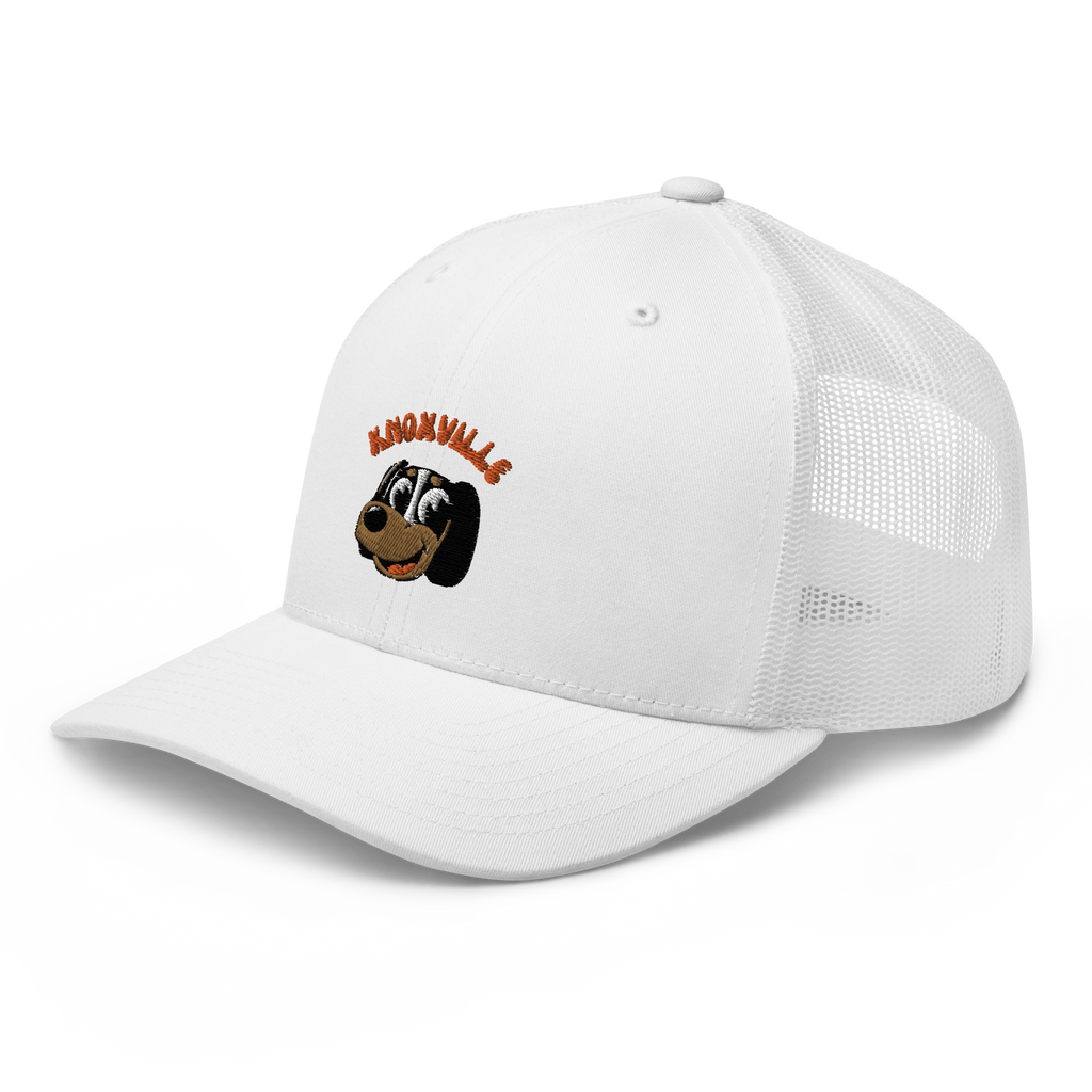 Knoxville Tennessee Volunteers vintage snapback hat - white front