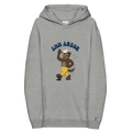 Ann Arbor Michigan Wolverines vintage hoodie - grey front