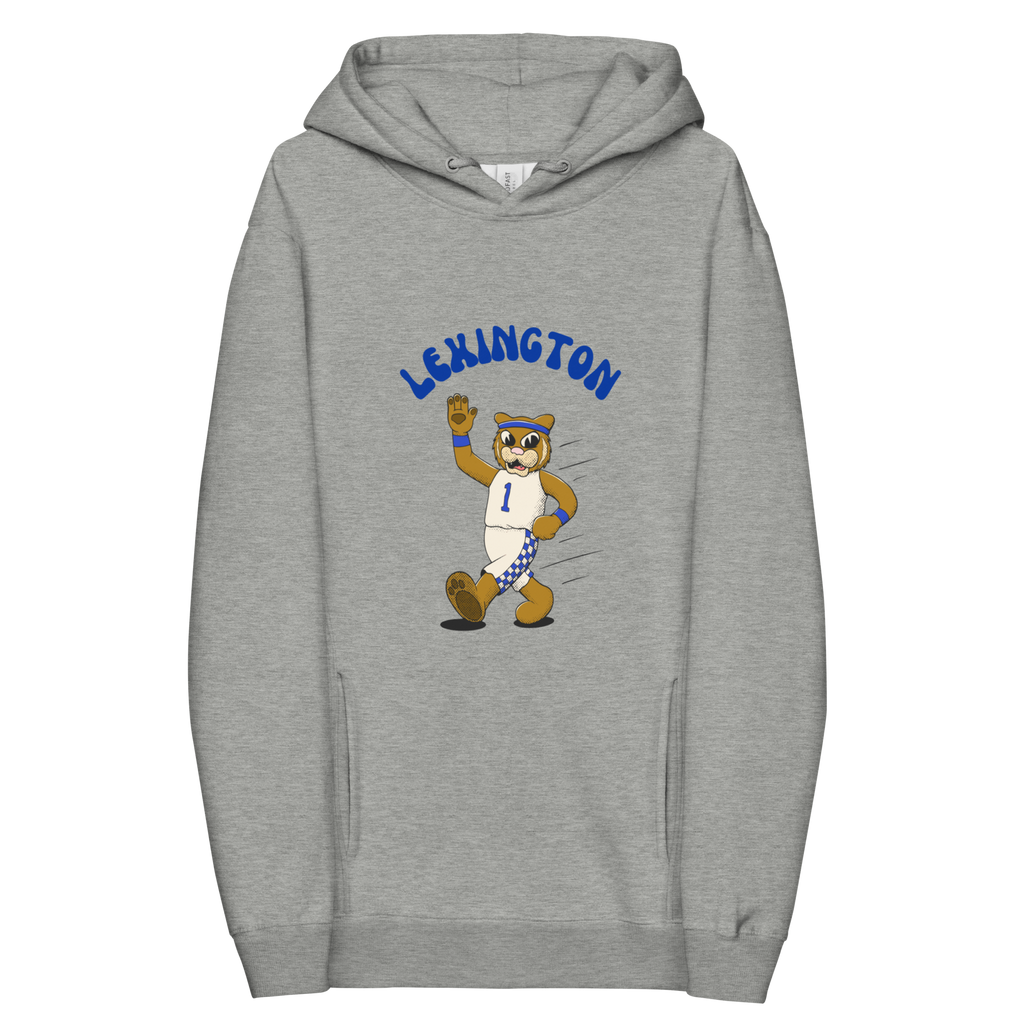 Lexington Kentucky Wildcats vintage hoodie - grey front