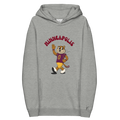 Minneapolis Minnesota Golden Gophers vintage hoodie - grey front