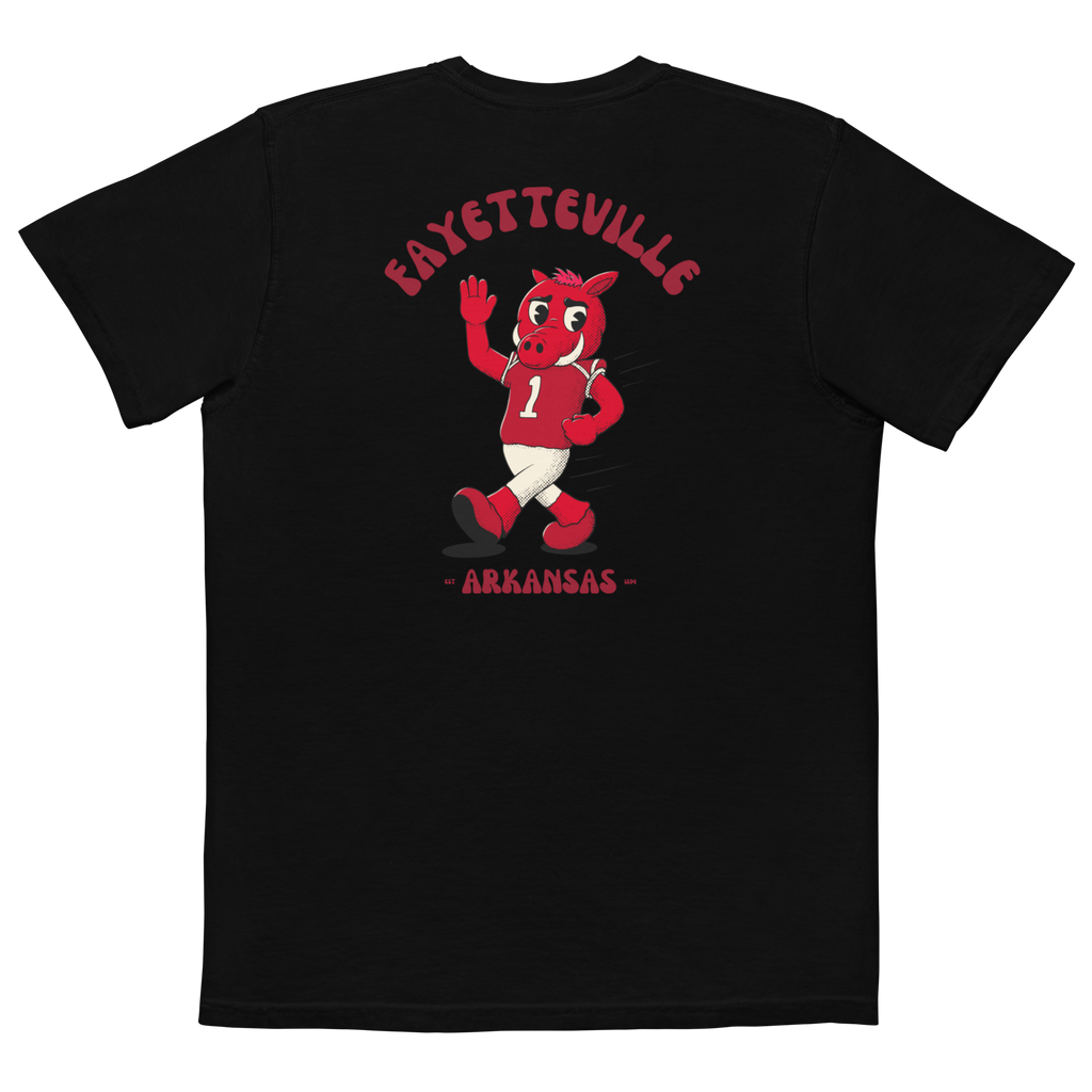 Fayetteville Arkansas Razorbacks vintage pocket t-shirt - black back