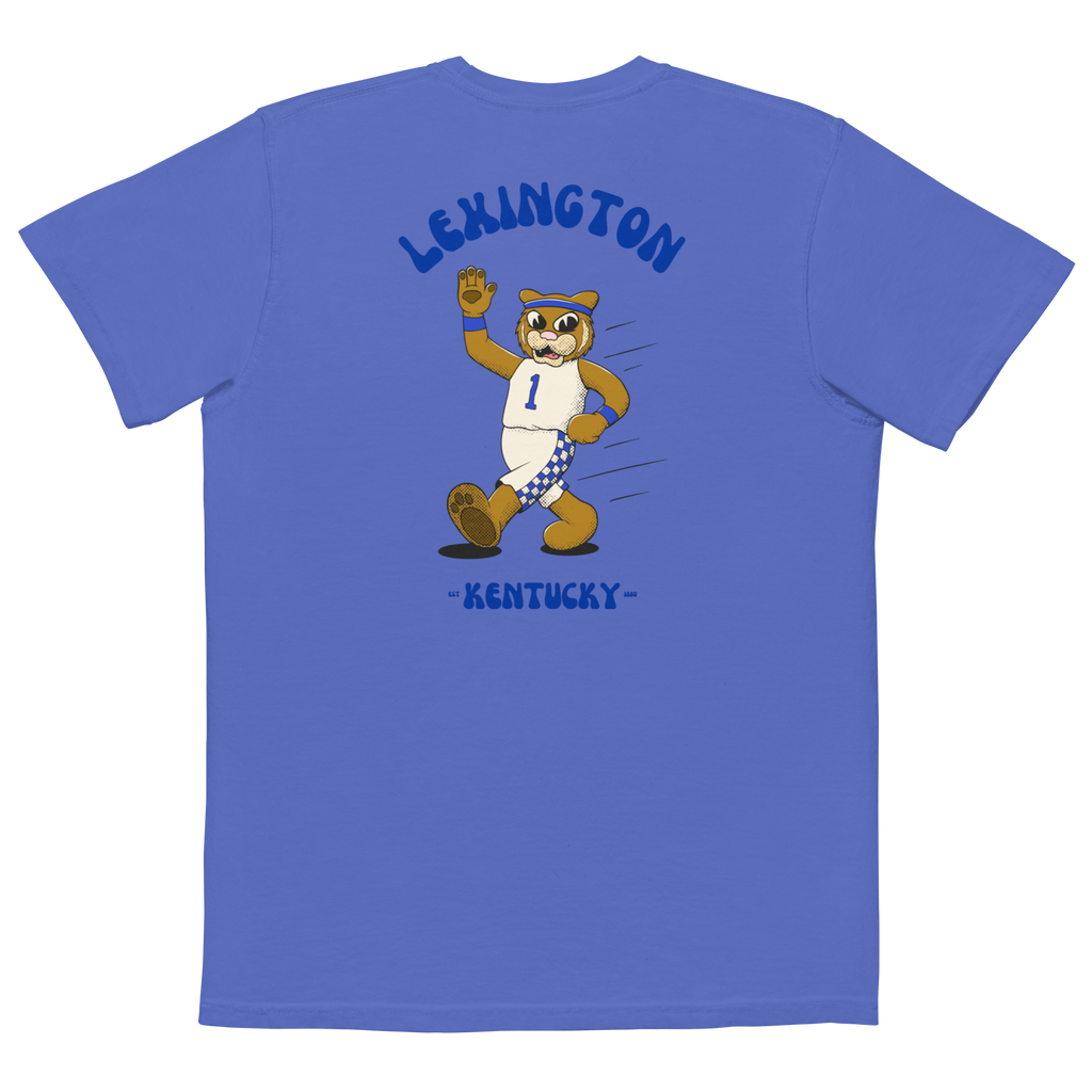 Lexington Kentucky Wildcats vintage pocket t-shirt - blue back