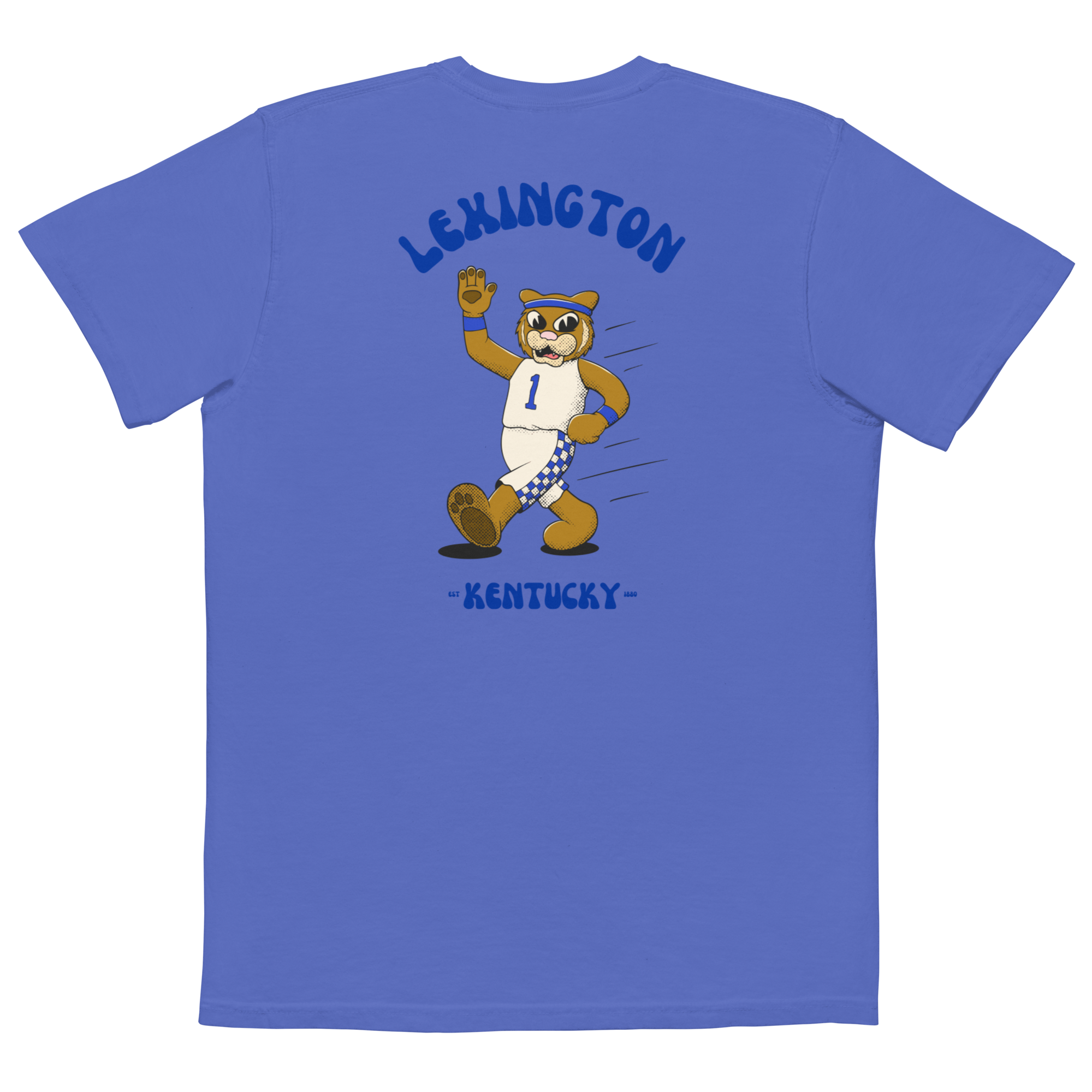 Lexington Kentucky Wildcats vintage pocket t-shirt - blue back