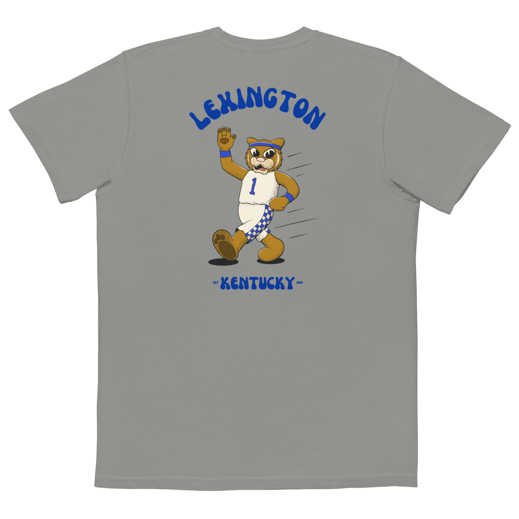 Lexington Kentucky Wildcats vintage pocket t-shirt - grey back