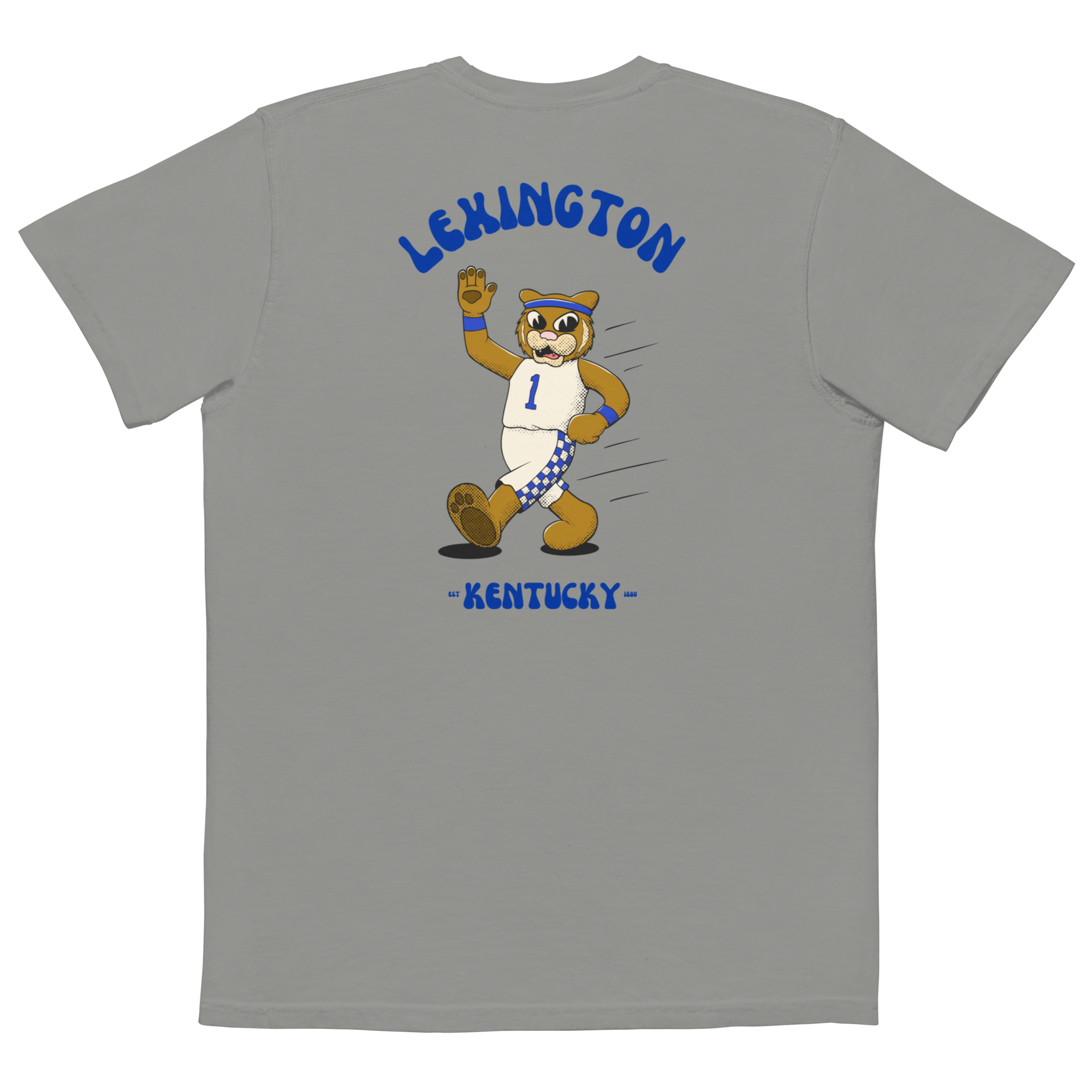 Lexington Kentucky Wildcats vintage pocket t-shirt - grey back