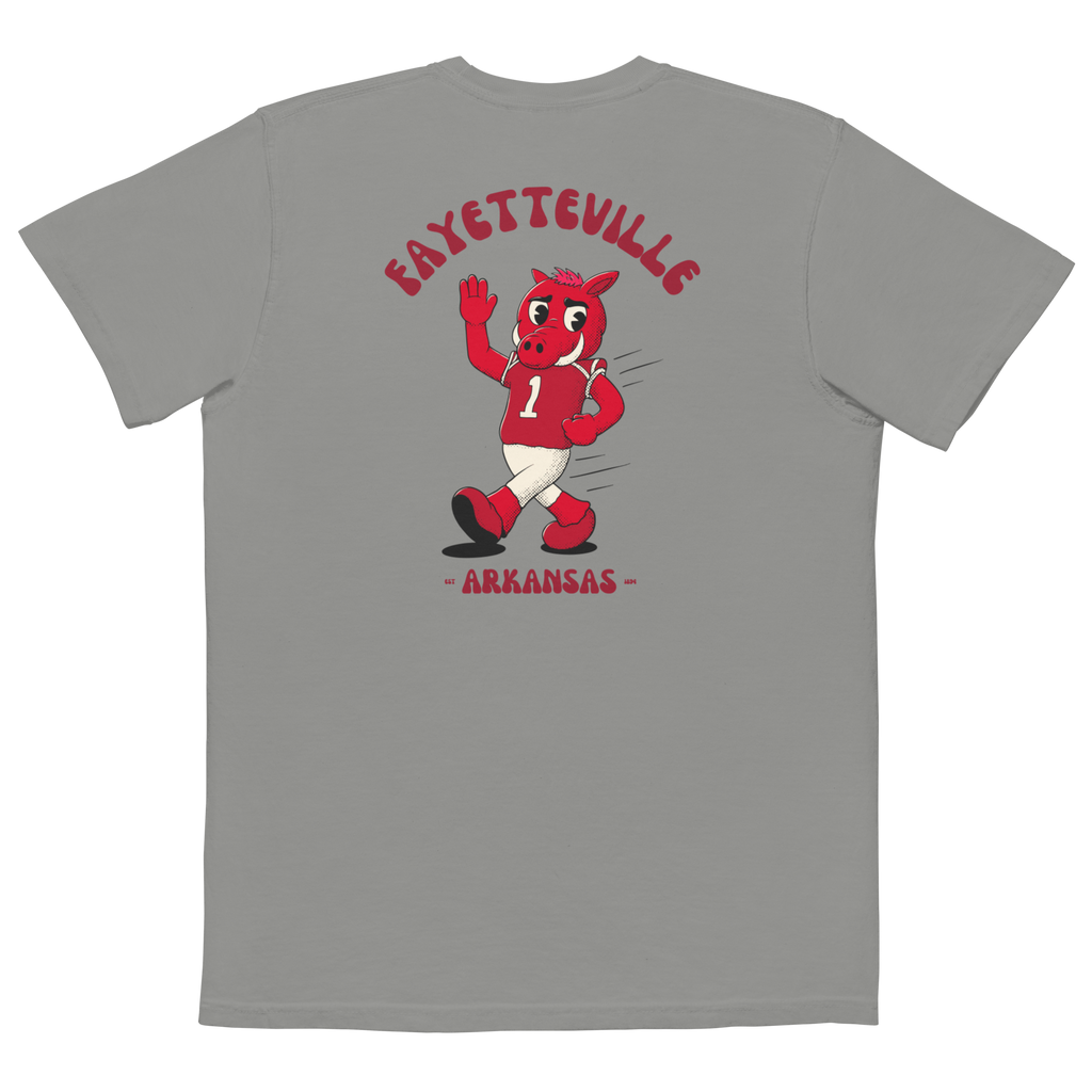 Fayetteville Arkansas Razorbacks vintage pocket t-shirt - grey back