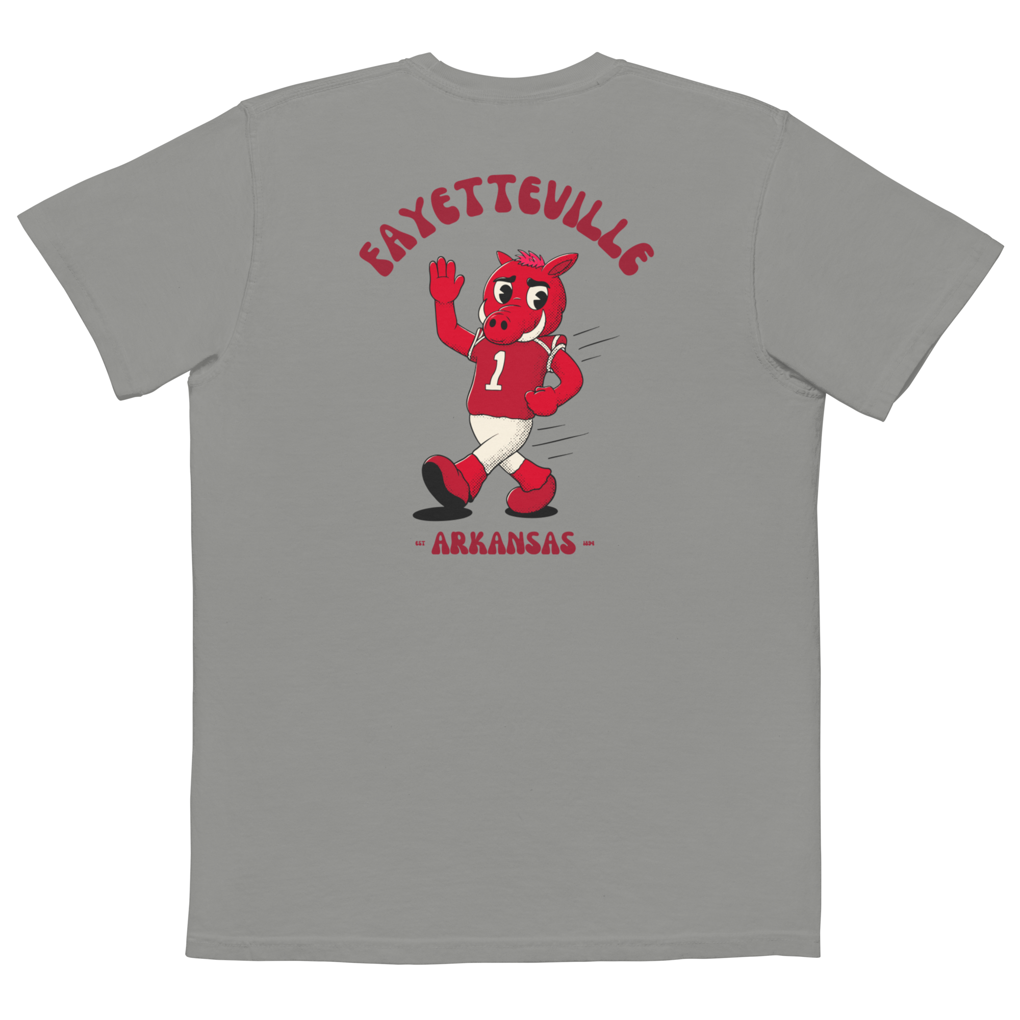 Fayetteville Arkansas Razorbacks vintage pocket t-shirt - grey back
